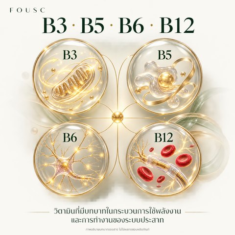 ภาพอธิบายบทบาทของ วิตามิน B3 · B5 · B6 · B12